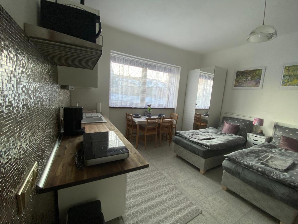 Artep Apartment 플젠 외부 사진